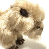 25cm Capybara Soft Toy