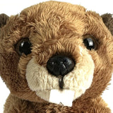 15cm Beaver Soft Toy