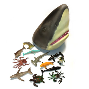 Shark head toy container with sealife animal figures