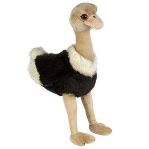 This Ostrich cuddly plush toy measures 36 cm and is suitable for all ages.  CE tested and certified and made from high quality materials delivering you a superb product that will be cherished for years.  The super soft huggable filling in this toy is made from recycled PET.