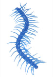 Blue Stretchy Caterpillar Sensory Toy