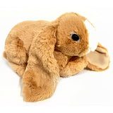 25cm Lop Eared Rabbit Soft Toy - Choice of Colour