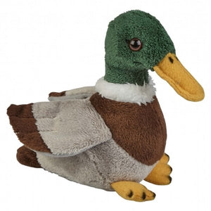 Mallard Duck soft cuddly plush toy
